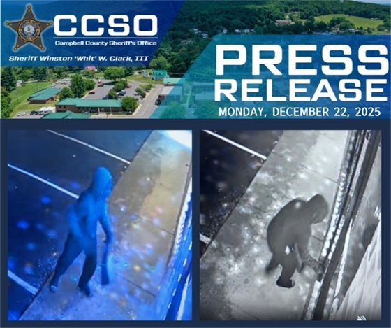 breaking and entering 2