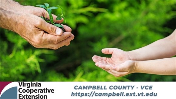 VCE - Campbell County