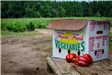Puckette Farms Produce