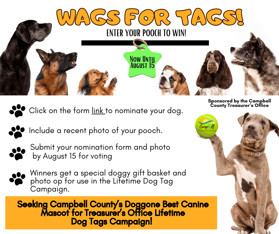 WAGS FOR TAGS! (4)