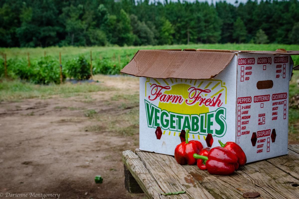 Puckette Farms Produce