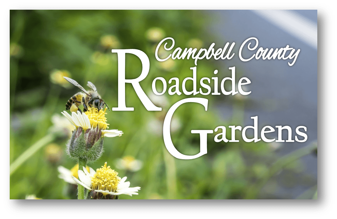 Roadside Gardens Header 